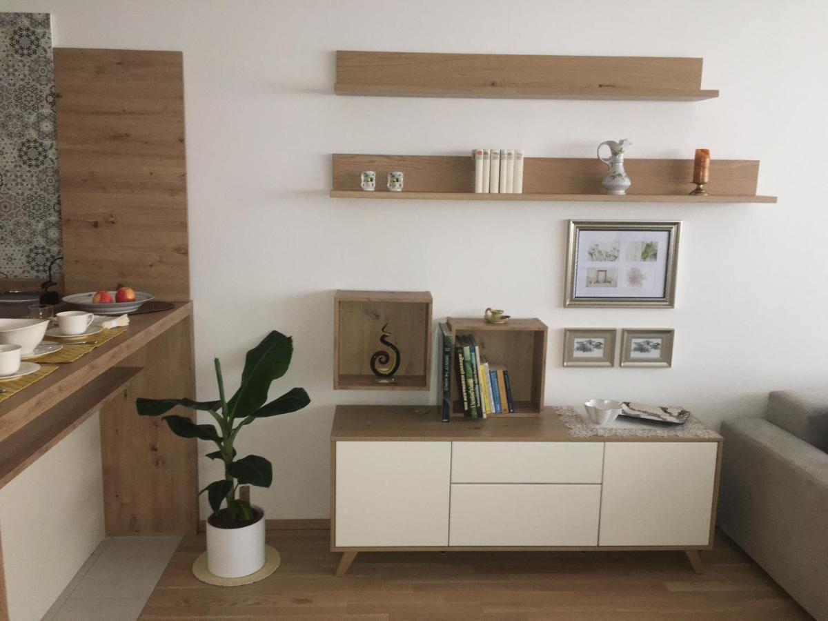 Ferienwohnung Danubia Linz Bagian luar foto
