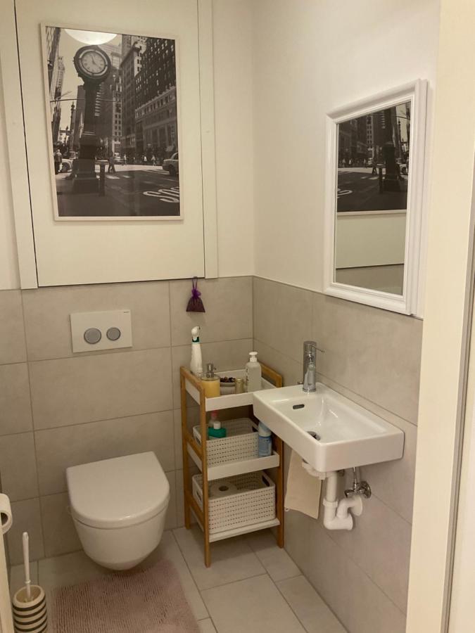 Ferienwohnung Danubia Linz Bagian luar foto